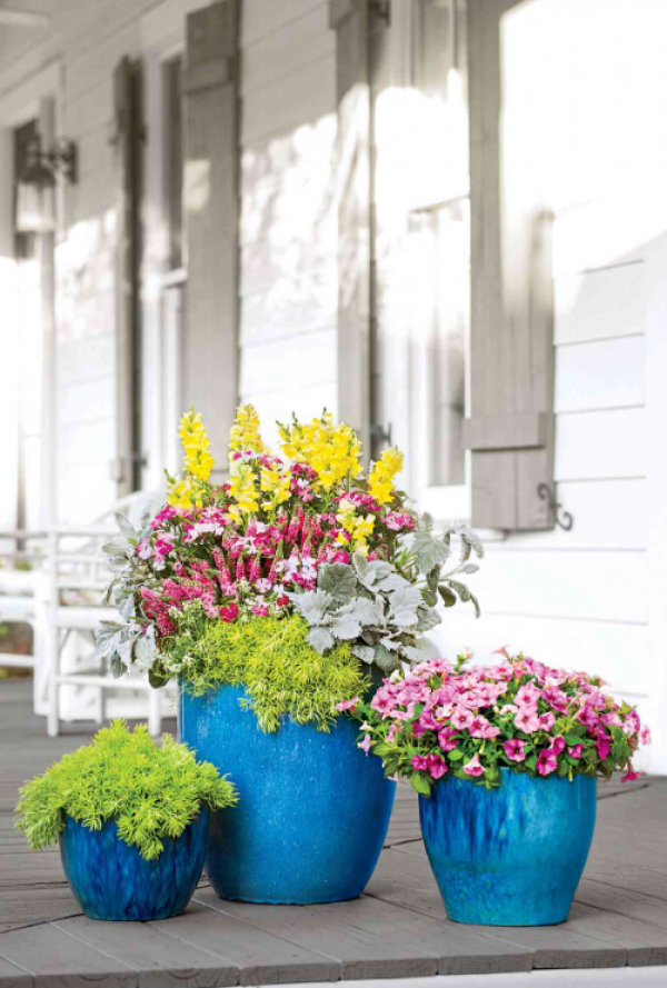 Pot bunga keramik berwarna-warni di depan pintu masuk